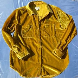 Anthropologie Velvet Button down shirt